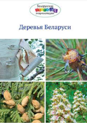 деревья Беларуси