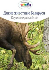 дикие животные Беларуси